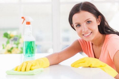 Professional sofa cleaning service for homes in Elephant and Castle