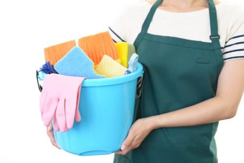 Deep cleaning service for homes and flats in Elephant and Castle