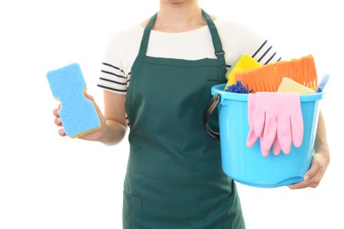 Cleaner Elephantandcastle secure payment page illustration