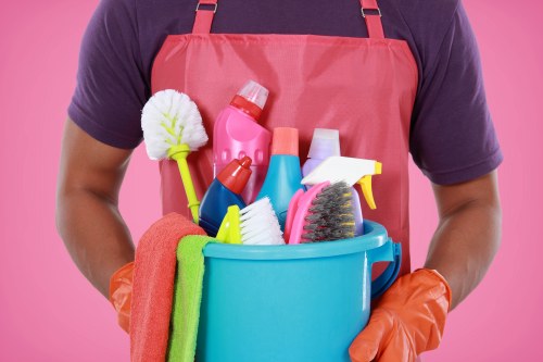 Professional oven cleaning service for Elephantandcastle kitchens