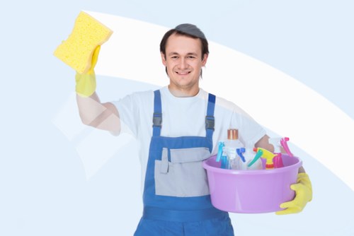 Domestic cleaning service for a modern home in Elephant and Castle