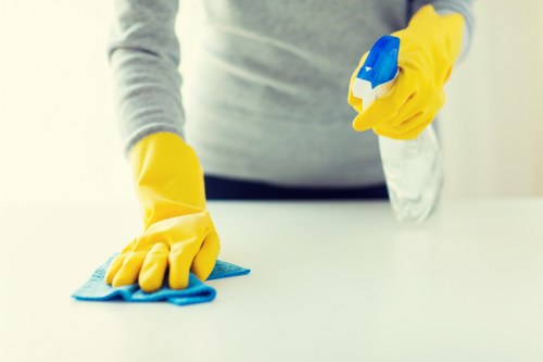Reliable Cleaner Elephant and Castle support for business spaces
