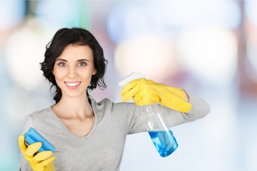 Deep cleaning a lounge sofa with attention to stains and fabric care