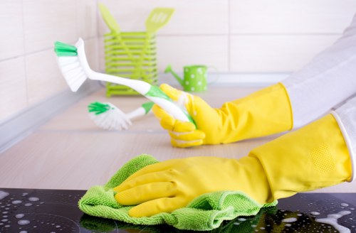Detailed bathroom cleaning during an end of tenancy clean in Elephant and Castle