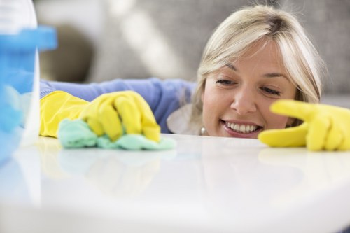 Local move-out cleaners preparing a kitchen for handover in Elephant and Castle