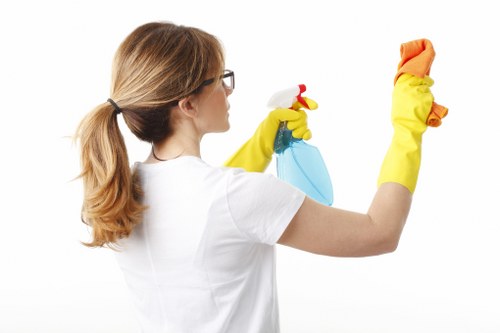 Local window cleaning service covering homes, offices and mixed-use buildings in Elephant and Castle