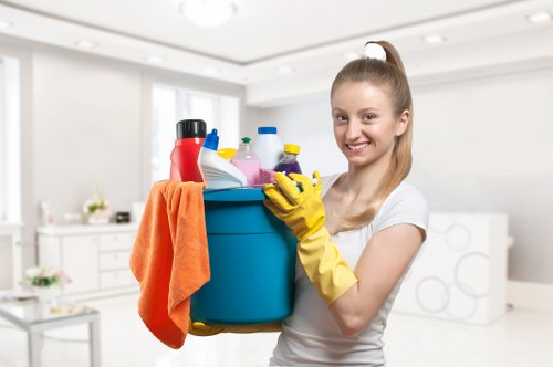 Careful upholstery cleaning service in Elephant and Castle flats
