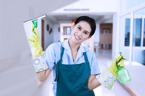 Bathroom sanitising during Airbnb cleaning services in Elephant and Castle