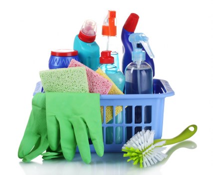 Local pet stain cleaning service working in a modern Elephant and Castle property