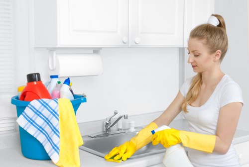 Cleaner Elephant and Castle cleaning approach in a local property